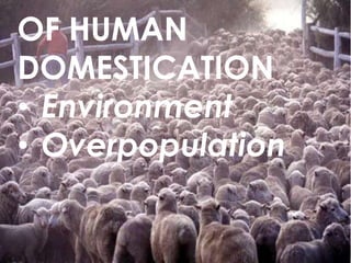 OF HUMAN
DOMESTICATION
• Environment
• Overpopulation

 