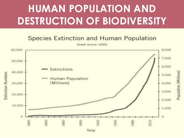 of-human-domestication-environment-and-o