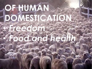 OF HUMAN
DOMESTICATION
• Freedom
• Food and health

 