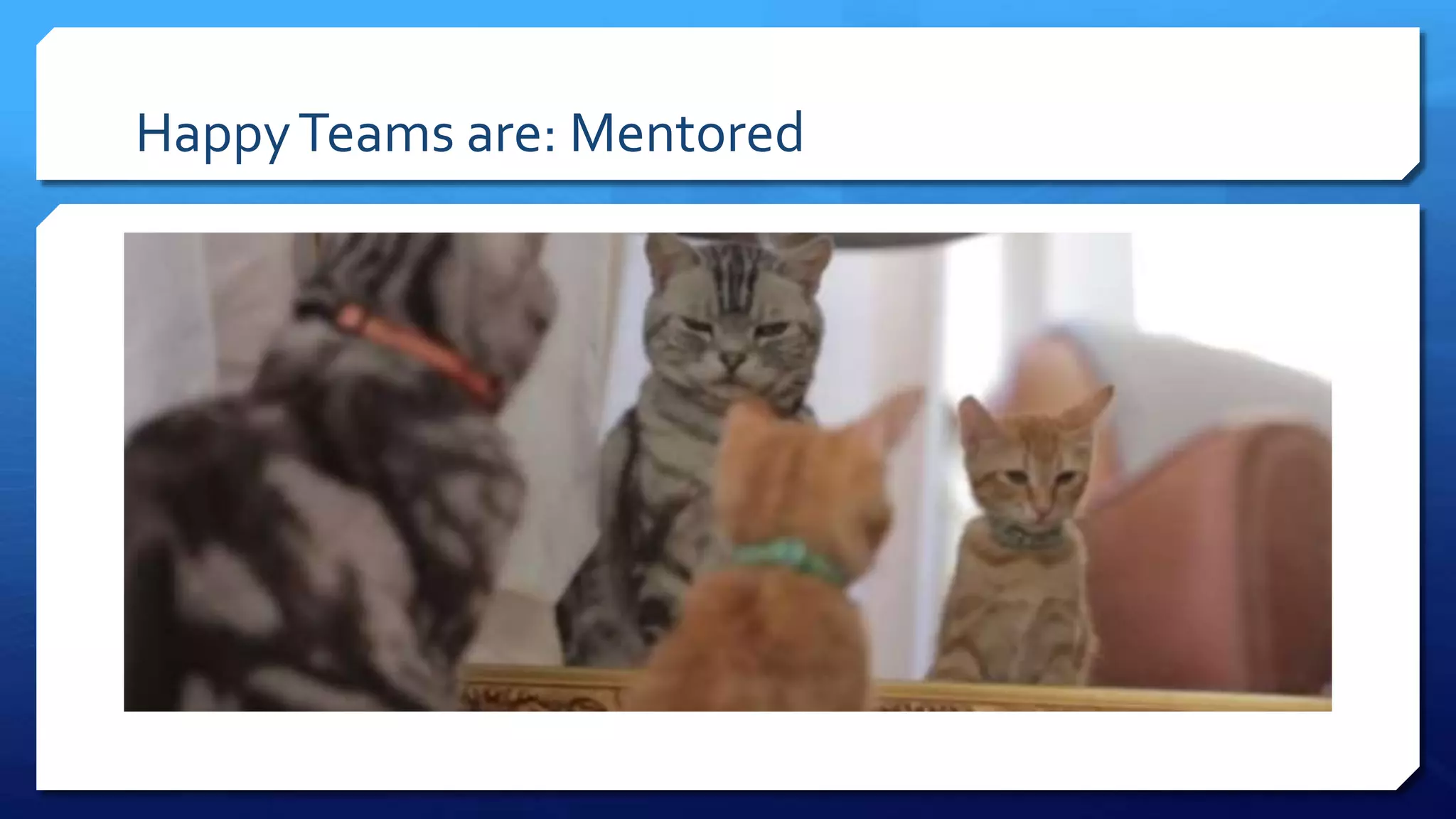 HappyTeams are: Mentored
 