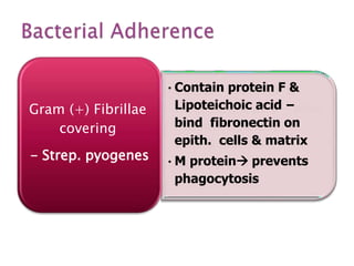 OHH Unit 3 Biological and ergonomical hazards 1.ppt
