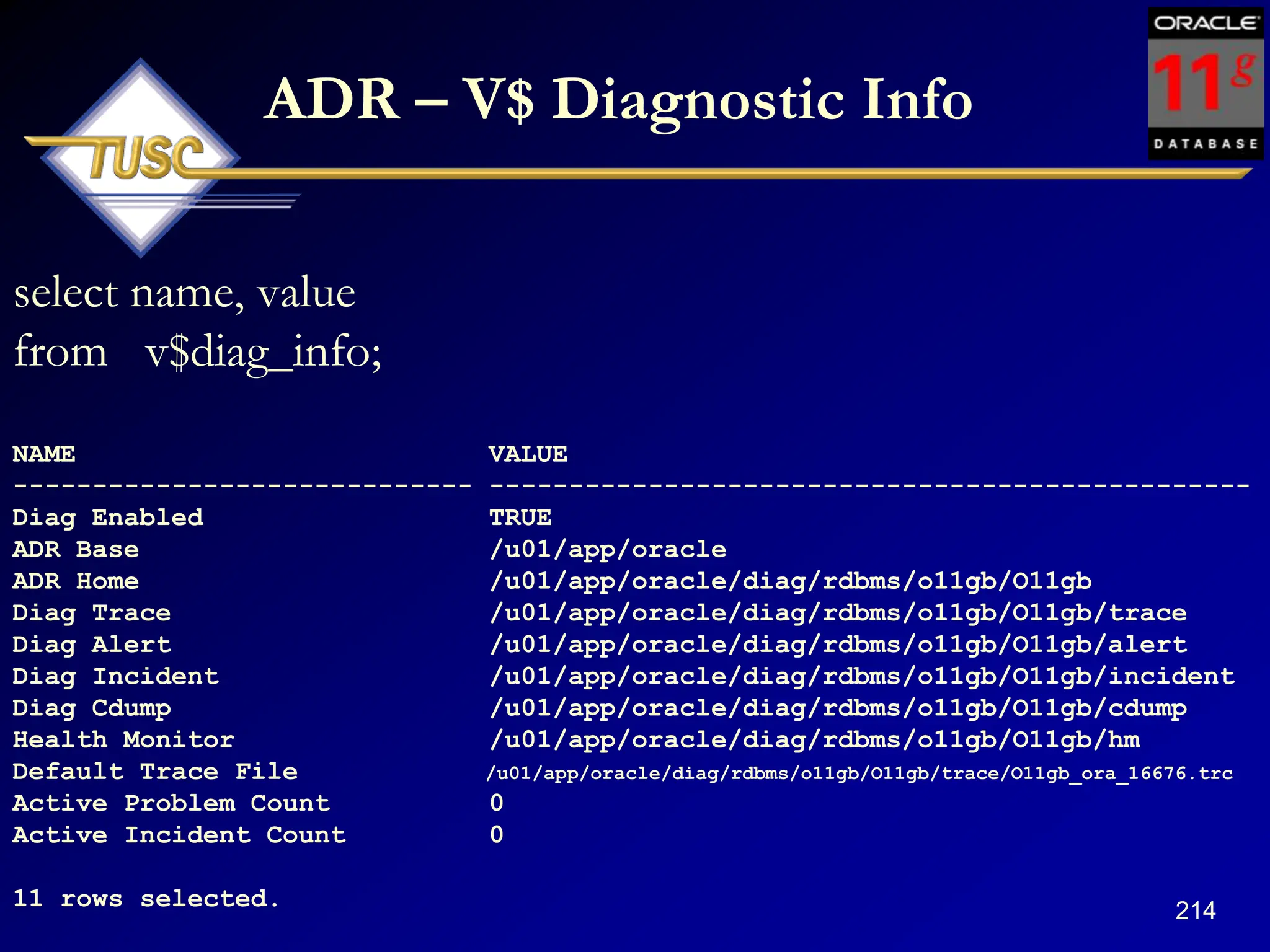 214
ADR – V$ Diagnostic Info
select name, value
from v$diag_info;
NAME VALUE
----------------------------- ------------------------------------------------
Diag Enabled TRUE
ADR Base /u01/app/oracle
ADR Home /u01/app/oracle/diag/rdbms/o11gb/O11gb
Diag Trace /u01/app/oracle/diag/rdbms/o11gb/O11gb/trace
Diag Alert /u01/app/oracle/diag/rdbms/o11gb/O11gb/alert
Diag Incident /u01/app/oracle/diag/rdbms/o11gb/O11gb/incident
Diag Cdump /u01/app/oracle/diag/rdbms/o11gb/O11gb/cdump
Health Monitor /u01/app/oracle/diag/rdbms/o11gb/O11gb/hm
Default Trace File /u01/app/oracle/diag/rdbms/o11gb/O11gb/trace/O11gb_ora_16676.trc
Active Problem Count 0
Active Incident Count 0
11 rows selected.
 