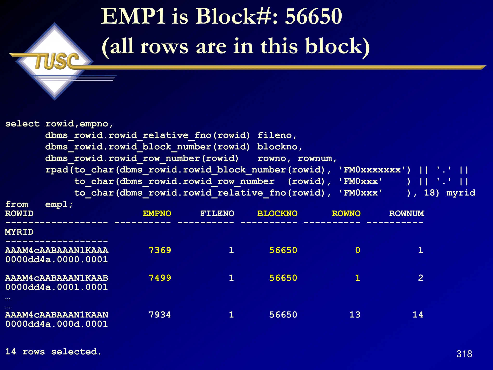 318
EMP1 is Block#: 56650
(all rows are in this block)
select rowid,empno,
dbms_rowid.rowid_relative_fno(rowid) fileno,
dbms_rowid.rowid_block_number(rowid) blockno,
dbms_rowid.rowid_row_number(rowid) rowno, rownum,
rpad(to_char(dbms_rowid.rowid_block_number(rowid), 'FM0xxxxxxx') || '.' ||
to_char(dbms_rowid.rowid_row_number (rowid), 'FM0xxx' ) || '.' ||
to_char(dbms_rowid.rowid_relative_fno(rowid), 'FM0xxx' ), 18) myrid
from emp1;
ROWID EMPNO FILENO BLOCKNO ROWNO ROWNUM
------------------ ---------- ---------- ---------- ---------- ----------
MYRID
------------------
AAAM4cAABAAAN1KAAA 7369 1 56650 0 1
0000dd4a.0000.0001
AAAM4cAABAAAN1KAAB 7499 1 56650 1 2
0000dd4a.0001.0001
…
…
AAAM4cAABAAAN1KAAN 7934 1 56650 13 14
0000dd4a.000d.0001
14 rows selected.
 