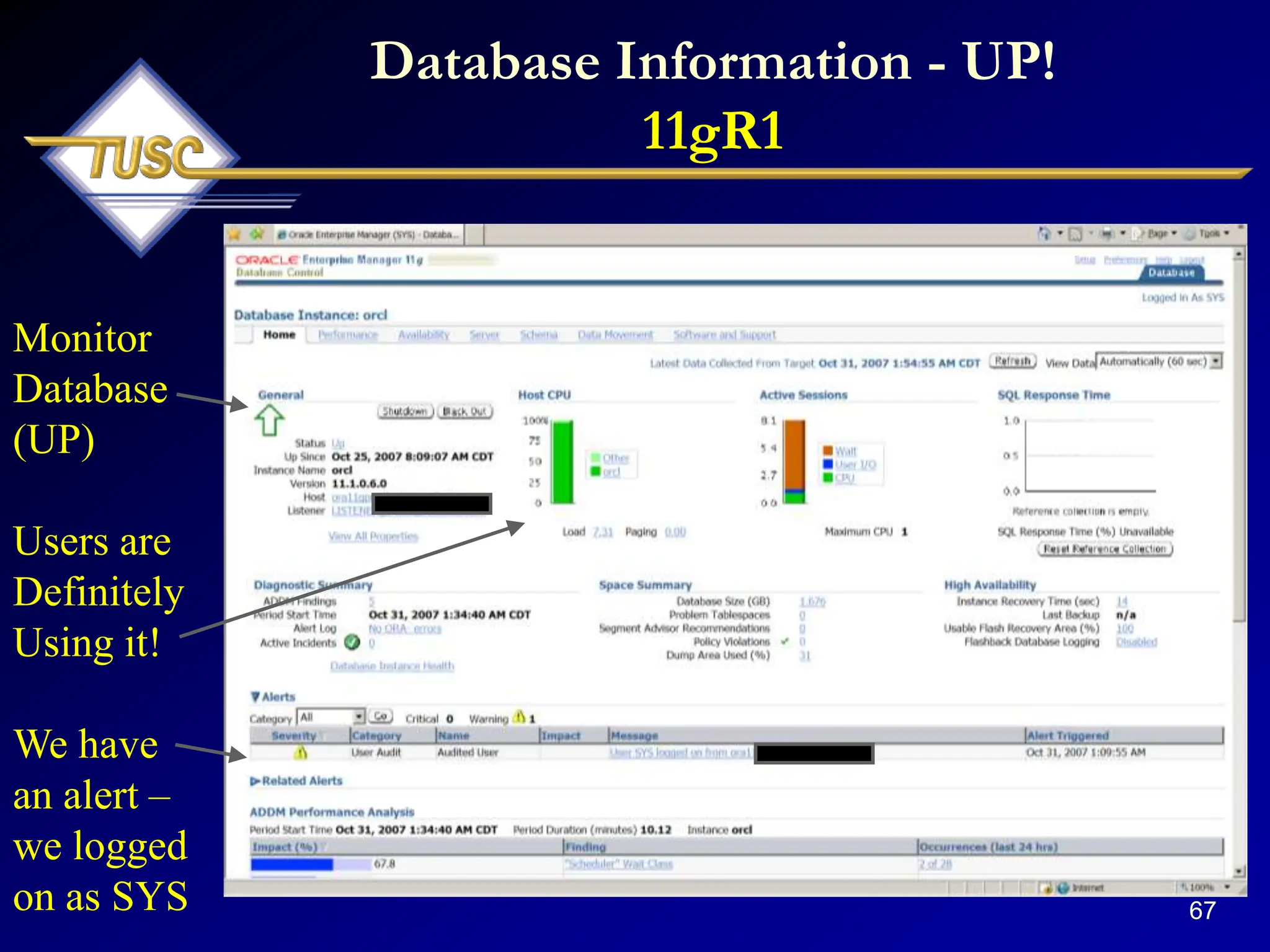 67
Database Information - UP!
11gR1
Monitor
Database
(UP)
Users are
Definitely
Using it!
We have
an alert –
we logged
on as SYS
 