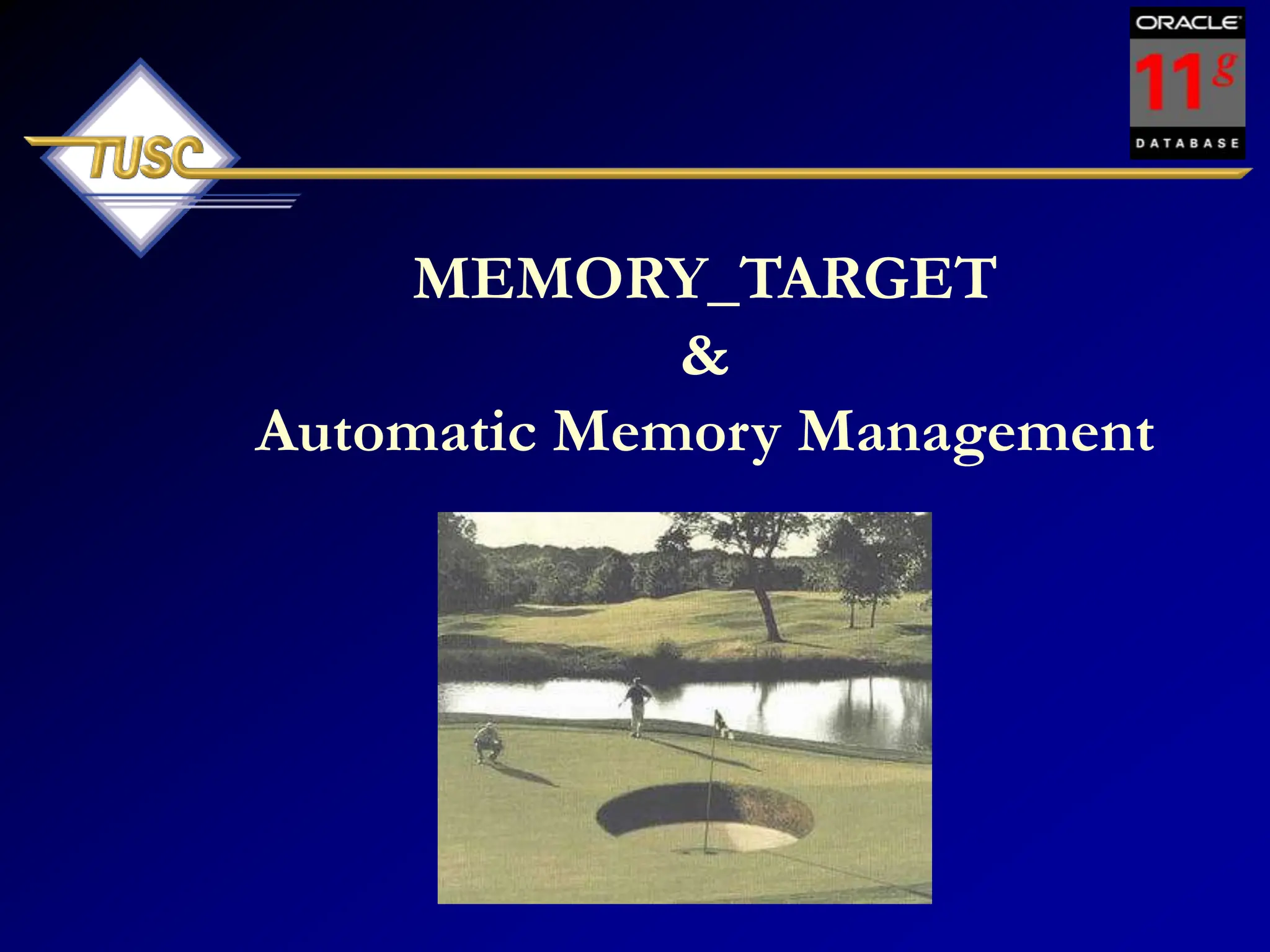 MEMORY_TARGET
&
Automatic Memory Management
 