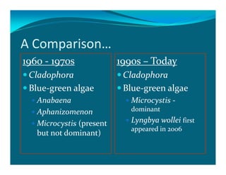 A Comparison…
1960 - 1970s              1990s – Today
 Cladophora                Cladophora
 Blue-green algae          Blue-green algae
   Anabaena                  Microcystis -
   Aphanizomenon             dominant

   Microcystis (present      Lyngbya wollei first
                             appeared in 2006
   but not dominant)
 