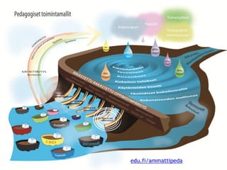 edu.fi/ammattipeda
 