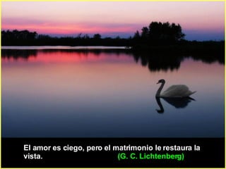 El amor es ciego, pero el matrimonio le restaura la vista.   (G. C. Lichtenberg)  