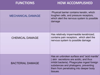 FUNCTIONS             HOW ACCOMPLISHED

                     Physical barrier contains keratin, which
MECHANICAL DAMAGE   toughen cells, and pressure receptors,
                    which alert the nervous system to possible
                    damage




                    Has relatively impermeable keratinized;
 CHEMICAL DAMAGE    contains pain receptors , which alert the
                    nervous system to possible damage




                    Has an unbroken surface and “acid mantle”
                    ( skin secretions are acidic, and thus
BACTERIAL DAMAGE    inhibit bacteria). Phagocytes ingest foreign
                    substances and phatogens, preventing
                    them from penetrating into deeper body
                    tissues.
 