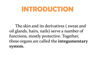 INTRODUCTION

    The skin and its derivatives ( sweat and
oil glands, hairs, nails) serve a number of
functions, mostly protective. Together,
these organs are called the integumentary
system.
 
