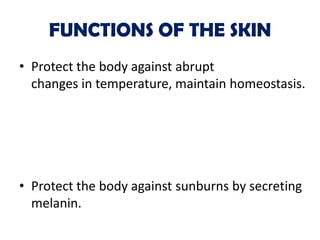 FUNCTIONS OF THE SKIN
• Protect the body against abrupt
  changes in temperature, maintain homeostasis.




• Protect the body against sunburns by secreting
  melanin.
 