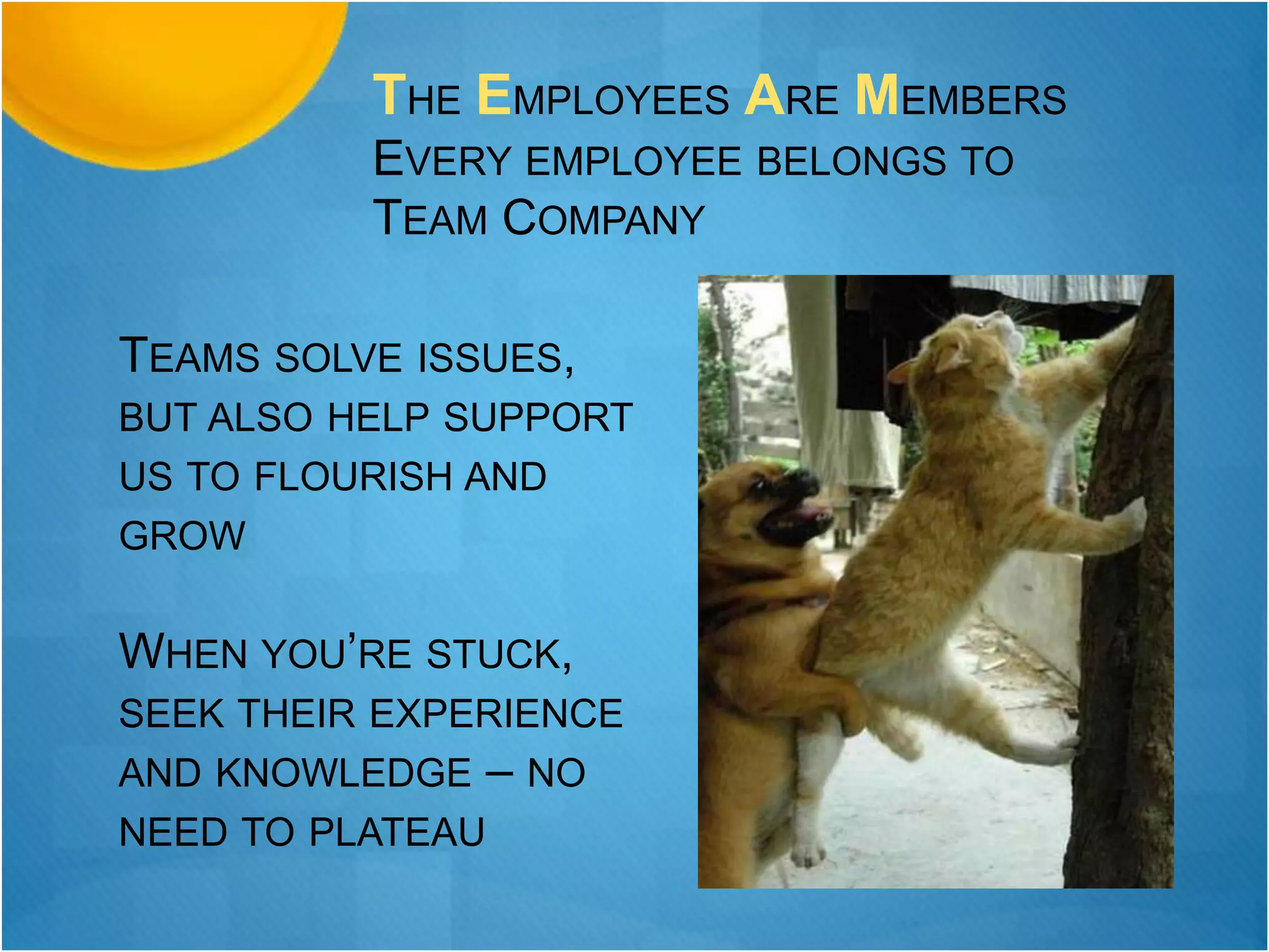 TEAMS SOLVE ISSUES,
BUT ALSO HELP SUPPORT
US TO FLOURISH AND
GROW
WHEN YOU’RE STUCK,
SEEK THEIR EXPERIENCE
AND KNOWLEDGE – NO
NEED TO PLATEAU
THE EMPLOYEES ARE MEMBERS
EVERY EMPLOYEE BELONGS TO
TEAM COMPANY
 