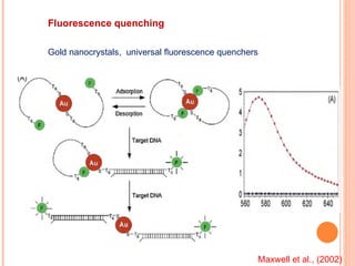 Fluorescence quenching Gold nanocrystals,  universal ﬂuorescence quenchers Maxwell et al., (2002) 