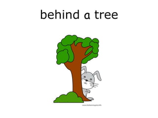 behind a tree
 