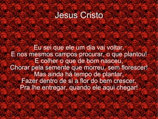 Jesus Cristo Eu sei que ele um dia vai voltar, E nos mesmos campos procurar, o que plantou! E colher o que de bom nasceu, Chorar pela semente que morreu, sem florescer! Mas ainda há tempo de plantar, Fazer dentro de si a flor do bem crescer, Pra lhe entregar, quando ele aqui chegar!
