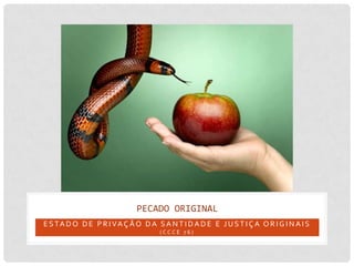 PECADO ORIGINAL
E S TA D O D E P R I VA Ç Ã O D A S A N T I D A D E E J U S T I Ç A O R I G I N A I S
                                     (CCCE 76)
 