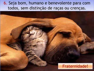 6. Seja bom, humano e benevolente para com
  todos, sem distinção de raças ou crenças.




                             Fraternidade!
 