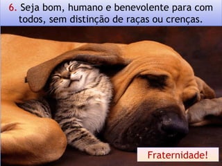 6. Seja bom, humano e benevolente para com
todos, sem distinção de raças ou crenças.
Fraternidade!
 