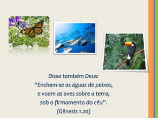 Disse também Deus: “Encham-se as águas de peixes, e voem as aves sobre a terra, sob o firmamento do céu”.(Gênesis 1.20)