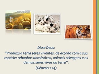 Disse Deus: “Produza a terra seres viventes, de acordo com a sua espécie: rebanhos domésticos, animais selvagens e os demais seres vivos da terra”.(Gênesis 1.24)