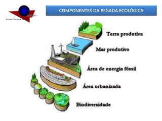 COMPONENTES DA PEGADA ECOLÓGICA
 