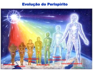 Evolução do Perispírito
reprodução
emoções
transformação
afetiva
comunicação
Intuição
síntese/intelectual
consciência Universal
 