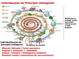 Individuação do Principio inteligente
Individualização do
principio inteligente
Manifesta-se
estagia ,evolui
nos reinos
inferiores até
o reino
hominal
MineralAtração força mecanica
Vegetal sensação  vitalidade
Animal instinto inteligencia instintiva
Hominalrazãoconsciencia de sua existencia
15 milhões de séculos.
 