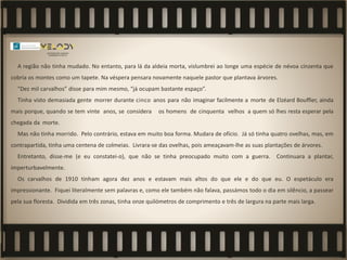 A região não tinha mudado. No entanto, para lá da aldeia morta, vislumbrei ao longe uma espécie de névoa cinzenta que
cobria os montes como um tapete. Na véspera pensara novamente naquele pastor que plantava árvores.
"Dez mil carvalhos” disse para mim mesmo, “já ocupam bastante espaço”.
Tinha visto demasiada gente morrer durante cinco anos para não imaginar facilmente a morte de Elzéard Bouffier, ainda
mais porque, quando se tem vinte anos, se considera os homens de cinquenta velhos a quem só lhes resta esperar pela
chegada da morte.
Mas não tinha morrido. Pelo contrário, estava em muito boa forma. Mudara de ofício. Já só tinha quatro ovelhas, mas, em
contrapartida, tinha uma centena de colmeias. Livrara-se das ovelhas, pois ameaçavam-lhe as suas plantações de árvores.
Entretanto, disse-me (e eu constatei-o), que não se tinha preocupado muito com a guerra. Continuara a plantar,
imperturbavelmente.
Os carvalhos de 1910 tinham agora dez anos e estavam mais altos do que ele e do que eu. O espetáculo era
impressionante. Fiquei literalmente sem palavras e, como ele também não falava, passámos todo o dia em silêncio, a passear
pela sua floresta. Dividida em três zonas, tinha onze quilómetros de comprimento e três de largura na parte mais larga.
 
