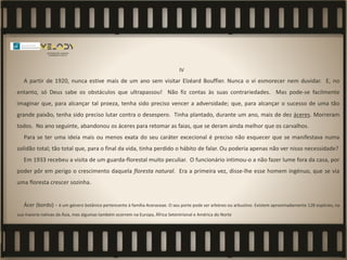 IV
A partir de 1920, nunca estive mais de um ano sem visitar Elzéard Bouffier. Nunca o vi esmorecer nem duvidar. E, no
entanto, só Deus sabe os obstáculos que ultrapassou! Não fiz contas às suas contrariedades. Mas pode-se facilmente
imaginar que, para alcançar tal proeza, tenha sido preciso vencer a adversidade; que, para alcançar o sucesso de uma tão
grande paixão, tenha sido preciso lutar contra o desespero. Tinha plantado, durante um ano, mais de dez áceres. Morreram
todos. No ano seguinte, abandonou os áceres para retomar as faias, que se deram ainda melhor que os carvalhos.
Para se ter uma ideia mais ou menos exata do seu caráter excecional é preciso não esquecer que se manifestava numa
solidão total; tão total que, para o final da vida, tinha perdido o hábito de falar. Ou poderia apenas não ver nisso necessidade?
Em 1933 recebeu a visita de um guarda-florestal muito peculiar. O funcionário intimou-o a não fazer lume fora da casa, por
poder pôr em perigo o crescimento daquela floresta natural. Era a primeira vez, disse-lhe esse homem ingénuo, que se via
uma floresta crescer sozinha.
Ácer (bordo) - é um género botânico pertencente à família Aceraceae. O seu porte pode ser arbóreo ou arbustivo. Existem aproximadamente 128 espécies, na
sua maioria nativas da Ásia, mas algumas também ocorrem na Europa, África Setentrional e América do Norte
 