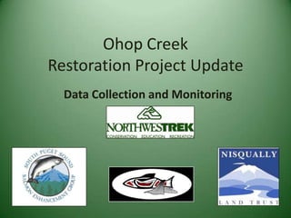 Ohop Creek Restoration Project Update Data Collection and Monitoring 