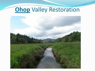 Ohop Valley Restoration

 