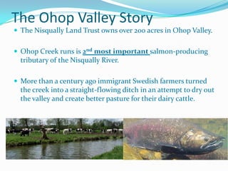 The Ohop Valley Story
 The Nisqually Land Trust owns over 200 acres in Ohop Valley.
 Ohop Creek runs is 2nd most important salmon-producing

tributary of the Nisqually River.
 More than a century ago immigrant Swedish farmers turned

the creek into a straight-flowing ditch in an attempt to dry out
the valley and create better pasture for their dairy cattle.

 
