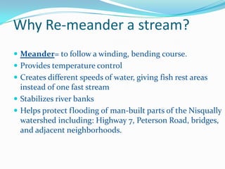 Why Re-meander a stream?
 Meander= to follow a winding, bending course.
 Provides temperature control
 Creates different speeds of water, giving fish rest areas

instead of one fast stream
 Stabilizes river banks
 Helps protect flooding of man-built parts of the Nisqually
watershed including: Highway 7, Peterson Road, bridges,
and adjacent neighborhoods.

 
