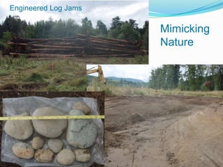 Engineered Log Jams

Mimicking
Nature

 