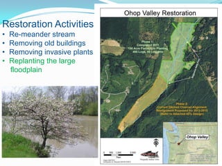 Restoration Activities
•
•
•
•

Re-meander stream
Removing old buildings
Removing invasive plants
Replanting the large
floodplain

 