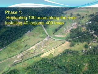 Phase 1:
Replanting 100 acres along the river
Installing 40 logjams 400 trees

 