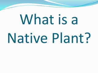 What is a
Native Plant?

 
