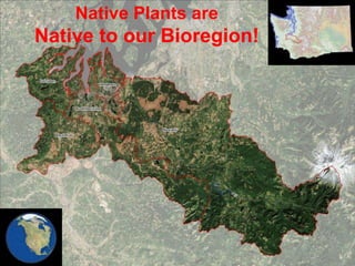 Native Plants are

Native to our Bioregion!

 