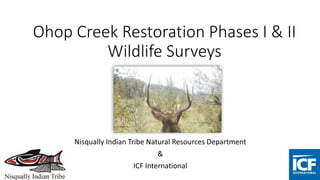 Ohop Creek Restoration Phases I & II
Wildlife Surveys
Nisqually Indian Tribe Natural Resources Department
&
ICF International
 