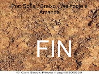 Por: Sofía , Breixo , Weinddie e
Amanda
FIN
 