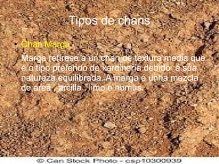 Tipos de chans
● Chan Marga
Marga refírese a un chan de textura media que
é o tipo preferido de xardinería debido á súa
natureza equilibrada. A marga é unha mezcla
de area , arcilla , limo e humus.
 