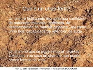Que é un chan fértil?
Un chan é fértil cando ten unha boa cantidade
de nutrientes minerais , provintes da
descomosición de materia orgánica , así como
unha boa capacidade de retención de auga
Un chan no que se pode sembrar (prantas ,
vexetales..) ou sexa un chan no que poden
crecer formas de vida.
 