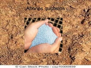 Abonos químicos
 