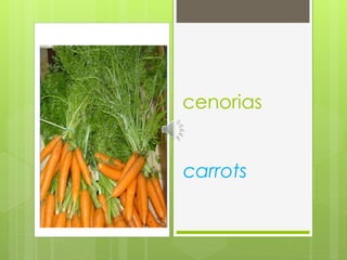 cenorias
carrots
 