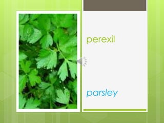 perexil
parsley
 