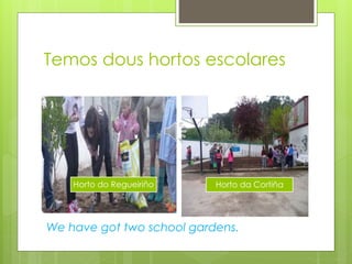 Temos dous hortos escolares
Horto do Regueiriño Horto da Cortiña
We have got two school gardens.
 