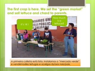 The first crop is here. We set the “green market”
and sell lettuce and chard to parents.
It’s 1€ !
How much
is a
lettuce?
A primeira colleita está lista. Instalamos o “mercado verde”
e vendémoslles leitugas e acelgas ás/aos nais/pais.
 