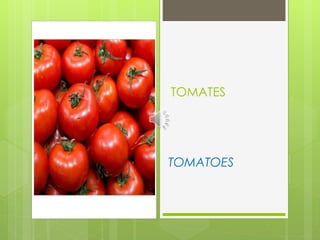 TOMATES
TOMATOES
 