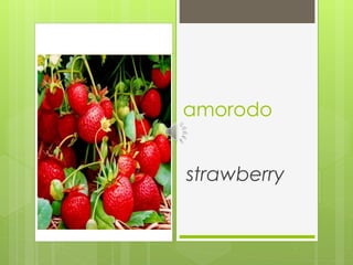 amorodo
strawberry
 