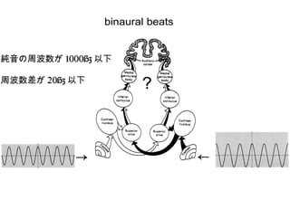 ←
binaural beats
→
？
純音の周波数が 1000Hz 以下
周波数差が 20Hz 以下
 